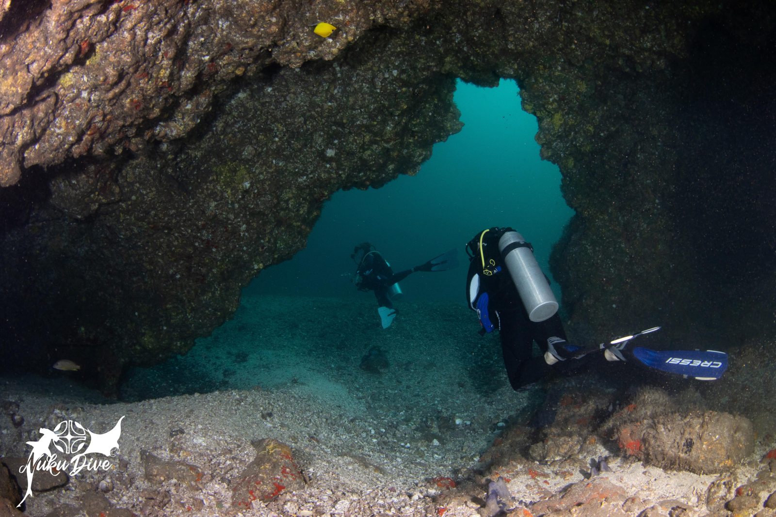 Diver under the arch of the Dulcinéa tunnel