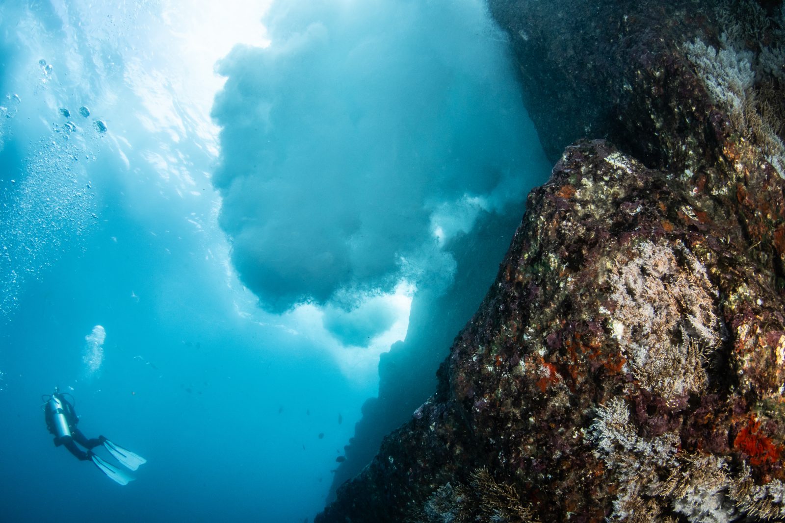 Diver in the light at La Sentinelle