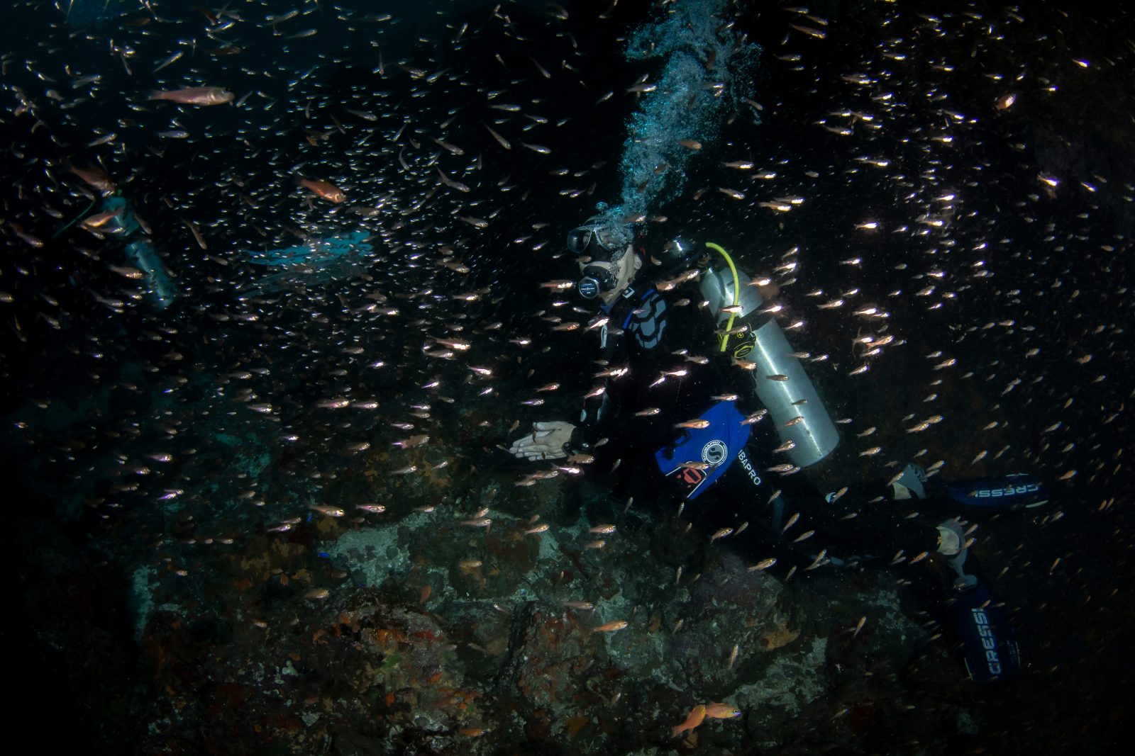 Diver with a torch in the Dulcinea tunnel