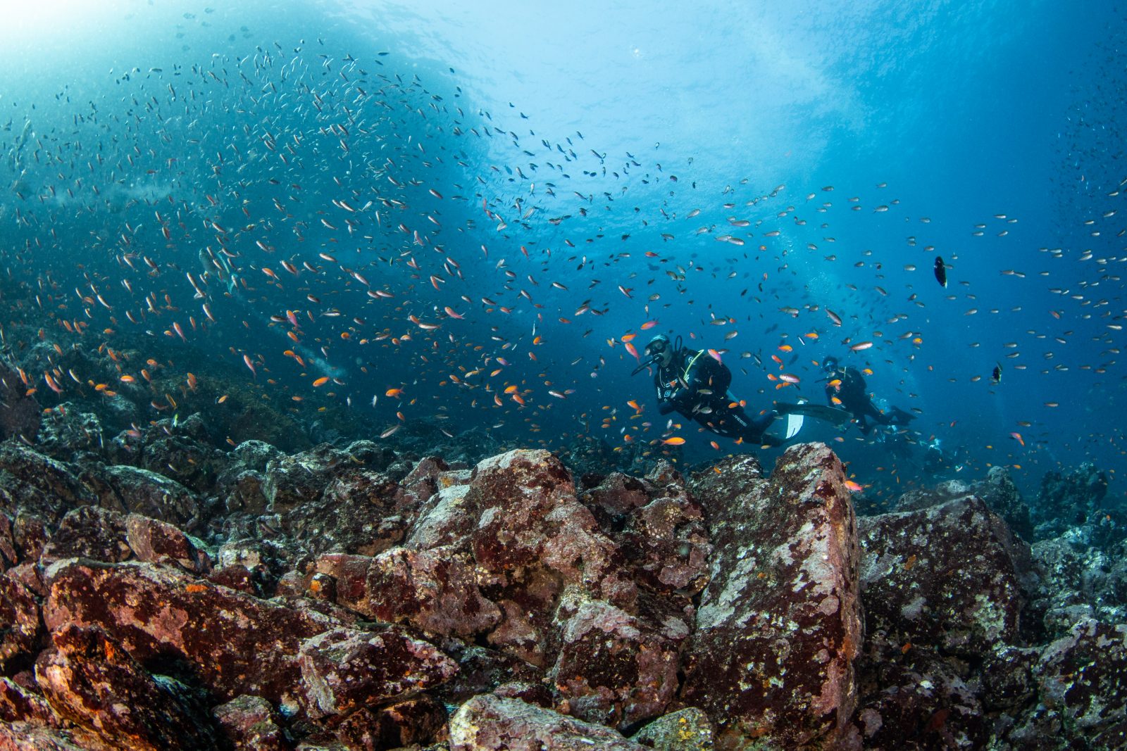 Divers above a rocky scree slope