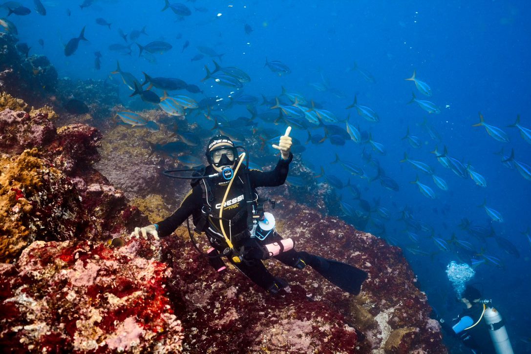 Julie underwater above the reef