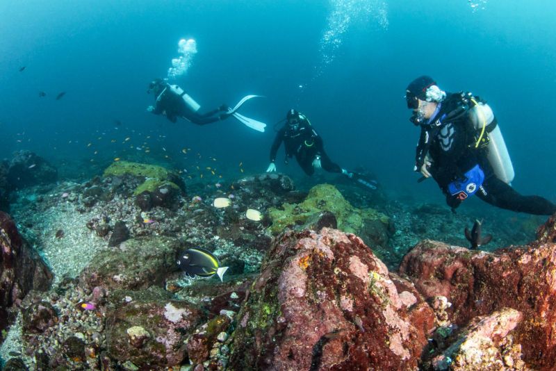 Dive group on the Matateteiko reef