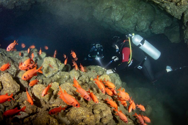 Diver in the soldierfish cave at Matateteiko