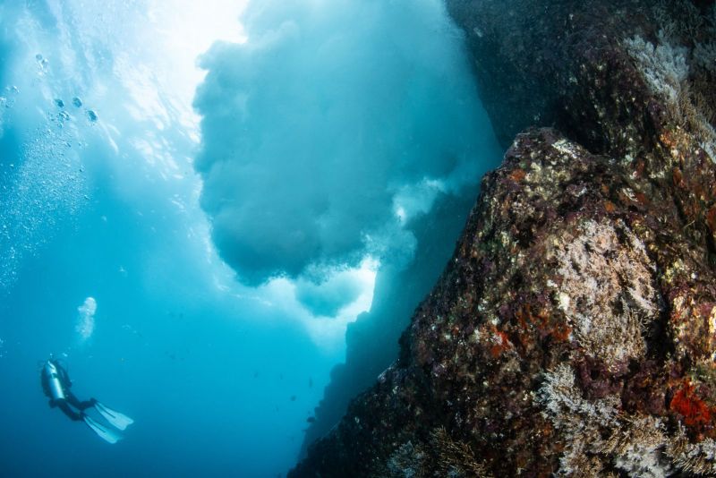 Diver in the light at La Sentinelle