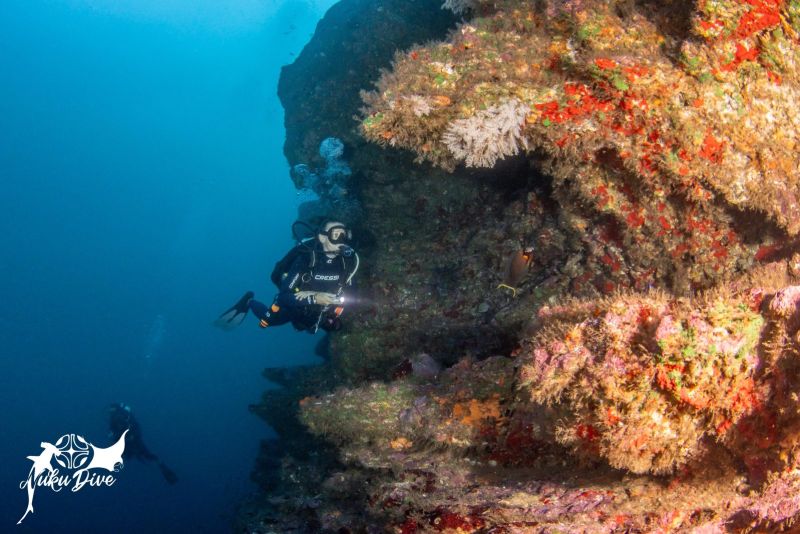Diver along the Avaika drop-off