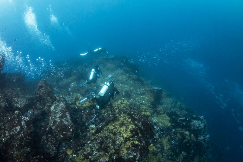 The Tikapo reef with divers in the distance