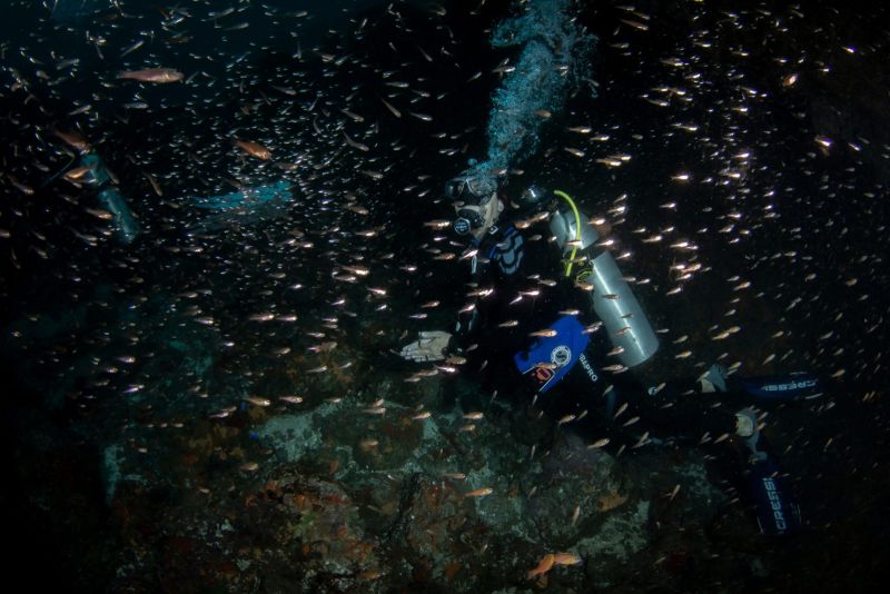 Diver with a torch in the Dulcinéa tunnel