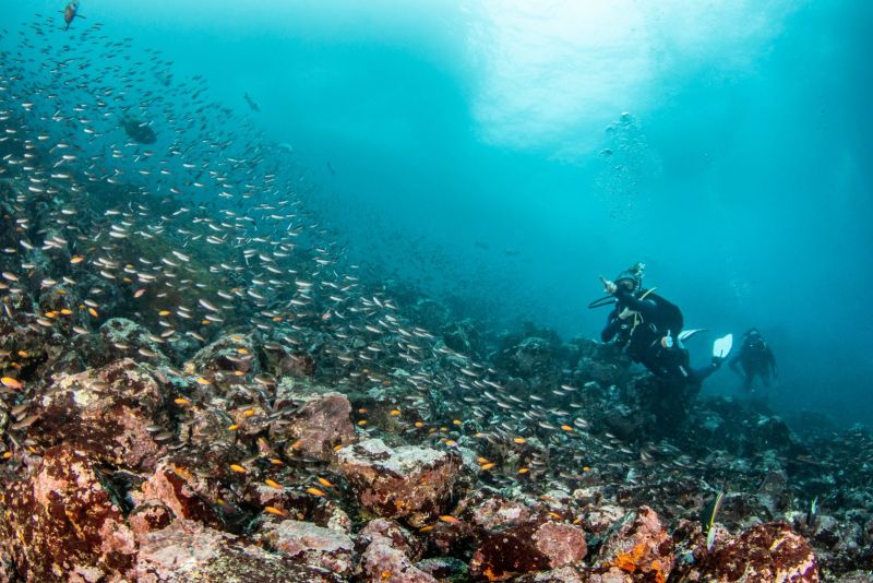 Diver above the boulders of Avaika